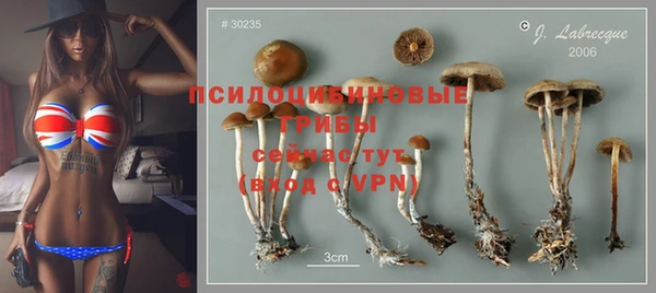 мескалин Приозерск