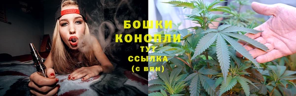 гидропоника Покачи
