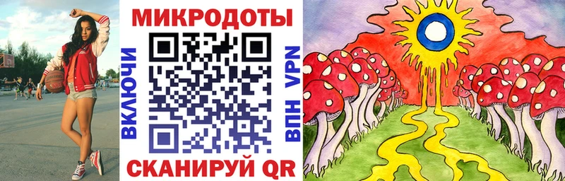 гидра   Волжск  Псилоцибиновые грибы Psilocybine cubensis 
