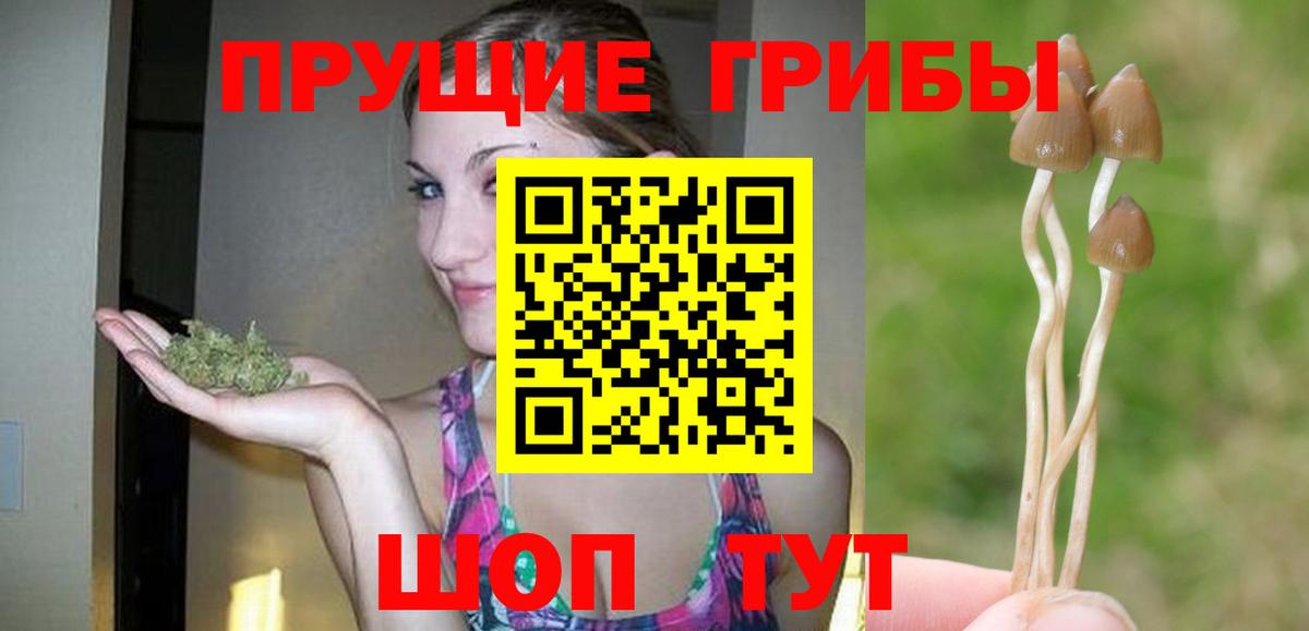 Галлюциногенные грибы GOLDEN TEACHER Волжск
