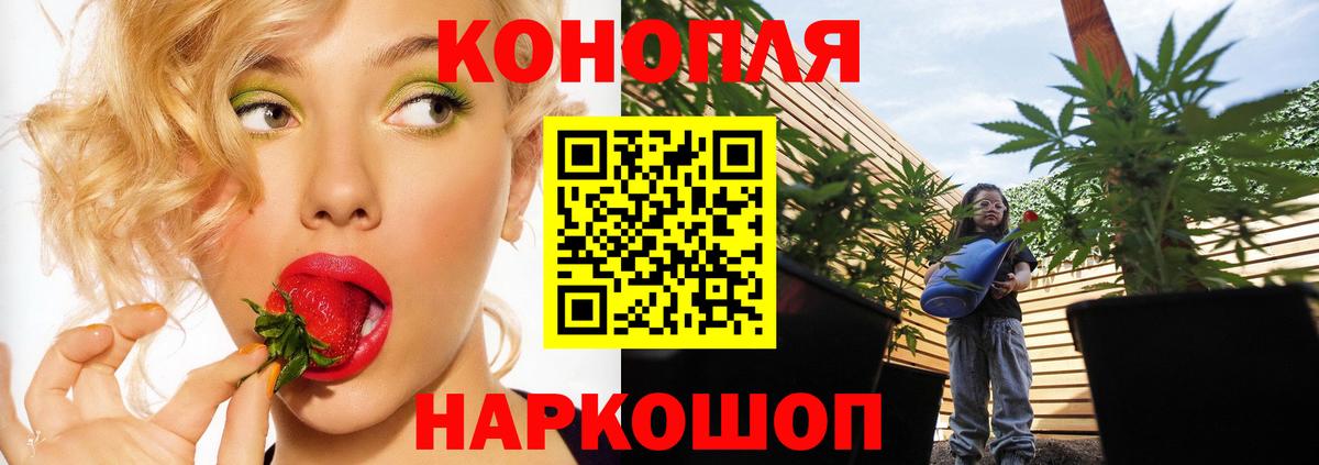 Каннабис Ganja  Бошки Шишки MAZAR  Каннабис OG Kush  Вход с VPN  Волжск  Марихуана план 